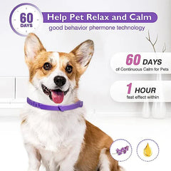 3-Pack Calming Collars for Dogs & Cats - 30 Day Pheromone Anxiety Relief
