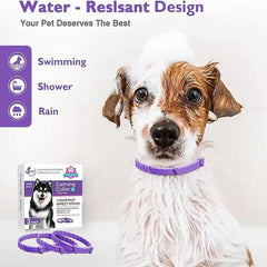 3-Pack Calming Collars for Dogs & Cats - 30 Day Pheromone Anxiety Relief