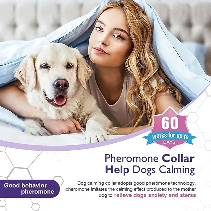 3-Pack Calming Collars for Dogs & Cats - 30 Day Pheromone Anxiety Relief