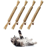 4 Pack Natural Silvervine Sticks for Cats – Chew Toys for Teeth Cleaning & Teething Kittens