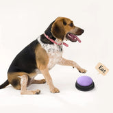 Recordable Talking Buttons for Dogs & Cats – Smart Pet Training Voice Buttons to Teach Communication, 30s Clear Recording, Fun & Easy Interactive Toy