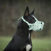 Kangdarpet Durable Leather Dog Muzzle – Adjustable Bite-Proof Cage for Large Dogs, Pitbull, Shepherd, Malinois Training