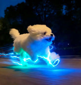 Pet glowing shoe lamp, bear teddy collar lamp, chest and back night lamp, night-time dog walking anti-loss shoe lamp