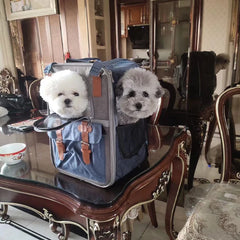 Pet Carrier Backpack for Cats Three-Sided Breathable Thickened Wear-Resistant Sun-Protective Travel Cat Bag Portable Pet Luggage