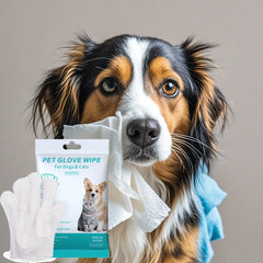 Pet supplies, pet disposable gloves, bathing and cleaning for cats and dogs, dry cleaning, wet wipes, and gloves.