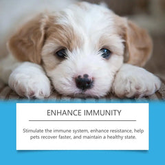 Pet Cough Drop Herbal Allergy Relief Immune Supplement Cough Treatment For Dogs Cats Discomfort Sneezing Treatment