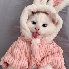 Warm Winter Clothes for Kittens Cute Bunny Appearance Cat Clothes Puppy Cute Coat Cats Dog Supplies Pet Products Home Garden