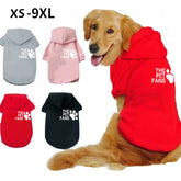 Winter new pet clothes dog Autumn and clothes dog fashion sports coat outdoor dog Hoodie golden hair Labrador dog clothes