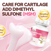 chanbuni Cat Food Food for Cats Cat Treats Treats for Cats Cat Calcium Tablets Joint Protection Exclusive for Pet Cats and Dogs