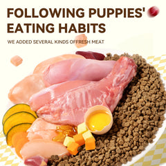 Chanbuni Cat Food Cat Snack Food for Cats Cat Supplies Premium Nutrition for Cats and Carats