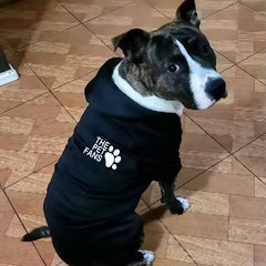 Winter new pet clothes dog Autumn and clothes dog fashion sports coat outdoor dog Hoodie golden hair Labrador dog clothes