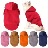 Autumn Winter Pet Cat Cotton Hooded Sweatshirts for Small Dogs Cats Clothes Warm Coat Puppy Hooded Sweats