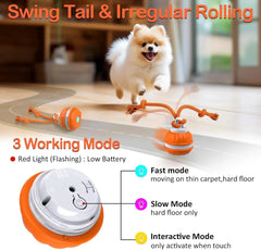 Pet Ball for Dogs Interactive Toys Motion Activate Rolling Ball for Puppy/Small Dogs Automatic Moving Toy USB Rechargeable Toy