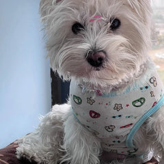 Cotton Vest Dogs Clothes For Small Dogs Chihuahua Clothes Summer Animals Cartoon Vest Dog T-Shirt For Small Dog Medium Yorkshire