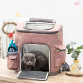 1 pcs Collapsible Dog Cat Backpack Carrier, Lightweight Foldable Pet Travel Bag with Breathable Mesh, Adjustable Shoulder Straps