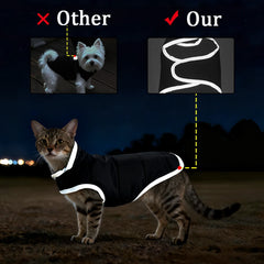 Reflective Pet Clothes Cute Windproof Reversible Kitten Jacket Coat Winter Warm Thicken Fleece Cat Costume For Small Cats Sphynx