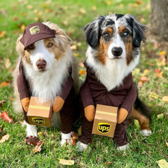 1Pc Funny Dog Cat Cosplay Clothes Role Playing Halloween Decor Clothes Pet Courier Costume Dress Up Standing Outfit Pet Costumes