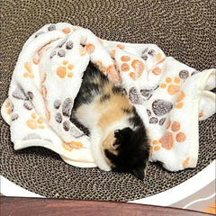 Warm Pet Cat Blanket Autumn Winter Cozy Thicken Fleece Kitten Footprint Bed Mat for Small Medium Big Cats Dog Chihuahua Supplies
