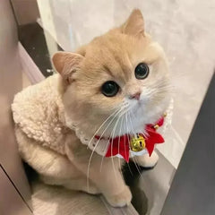 Cat Clothes Warm Lambhair Vest Soft Cozy Winter Warm Fleece Sweatshirt Puppy Kitten Jacket Coat Pet Sphynx Costume Sweater 고양이