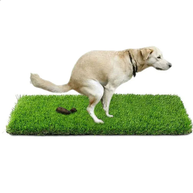 Artificial Grass Dog Toilet - Realistic Pee Pad for Puppy Potty Training