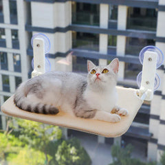 Assembly Free Cat Hammock - Foldable Plush Mesh Window Perch Double Suction