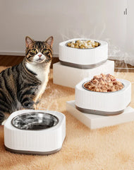Automatic Pet Water Heater - Constant Temperature Drinking Bowl for Winter
