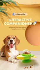 Automatic Treat Dispenser Duck - Interactive Food Puzzle Toy for Dogs Cats