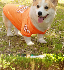 CAIBAN Summer Pet Cooling Vest - Heat Relief for Dogs & Cats