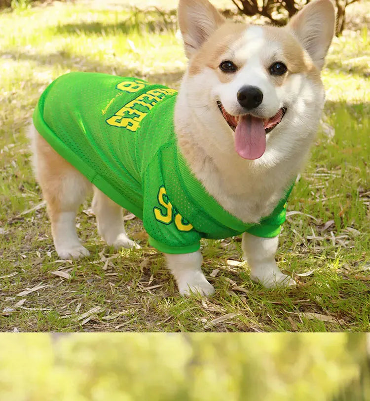 CAIBAN Summer Pet Cooling Vest - Heat Relief for Dogs & Cats