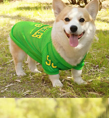 CAIBAN Summer Pet Cooling Vest - Heat Relief for Dogs & Cats