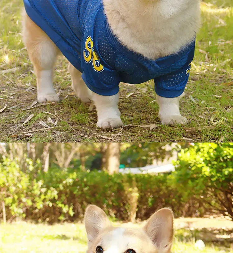 CAIBAN Summer Pet Cooling Vest - Heat Relief for Dogs & Cats