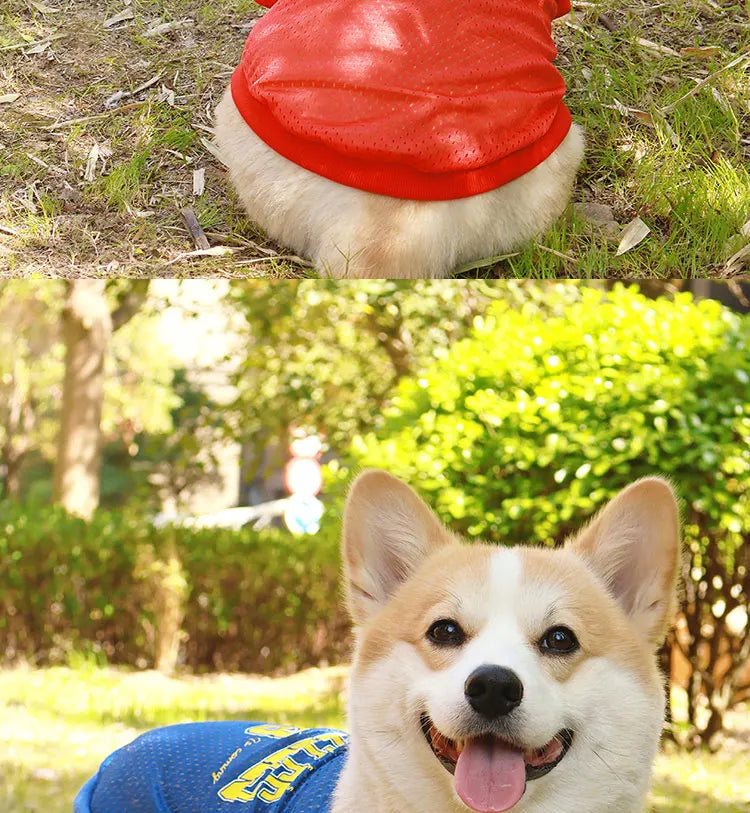 CAIBAN Summer Pet Cooling Vest - Heat Relief for Dogs & Cats