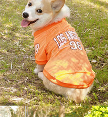 CAIBAN Summer Pet Cooling Vest - Heat Relief for Dogs & Cats