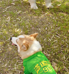 CAIBAN Summer Pet Cooling Vest - Heat Relief for Dogs & Cats