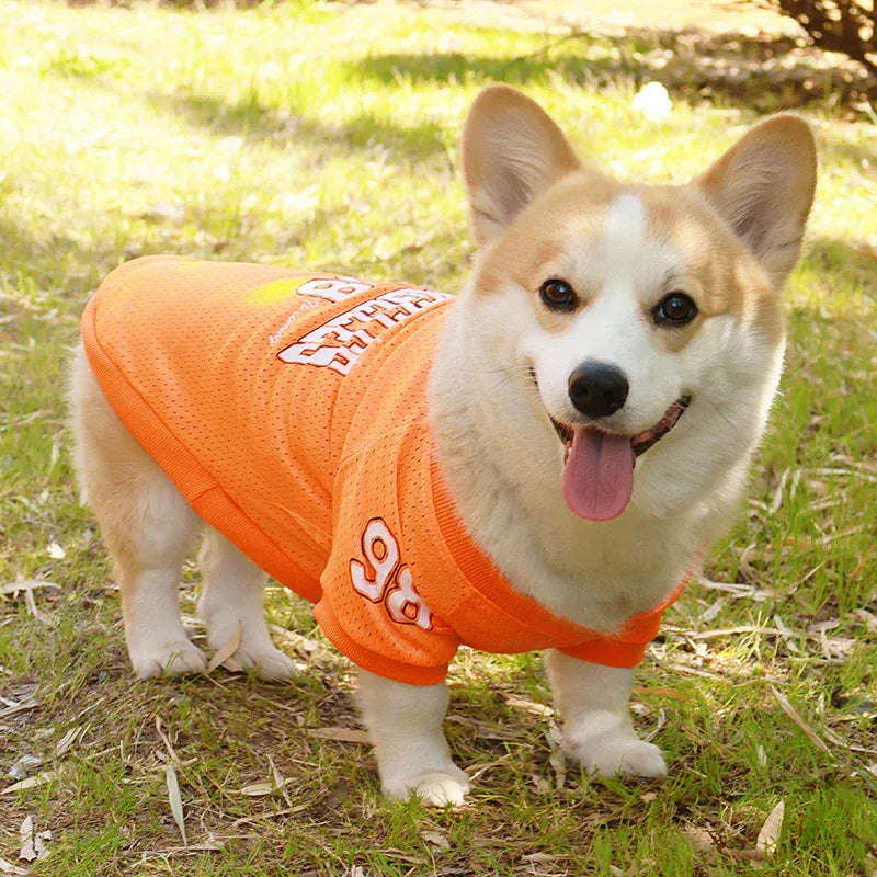 CAIBAN Summer Pet Cooling Vest - Heat Relief for Dogs & Cats