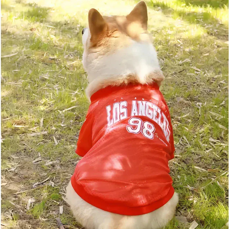 CAIBAN Summer Pet Cooling Vest - Heat Relief for Dogs & Cats