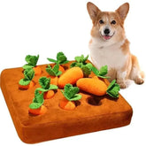 Carrot Snuffle Mat for Dogs & Cats – Interactive Puzzle Feeder Toy with Hiding Carrots