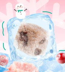 Chanbuni Chicken Cranberry Cat Snacks - Freeze-Dried Meat & Fruit Treats