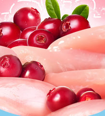 Chanbuni Chicken Cranberry Cat Snacks - Freeze-Dried Meat & Fruit Treats