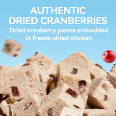 Chanbuni Chicken Cranberry Cat Snacks - Freeze-Dried Meat & Fruit Treats