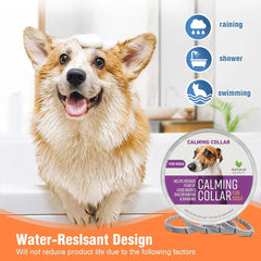 Dog Calming Collar - 60-Day Pheromone Anxiety Relief for Stress & Barking