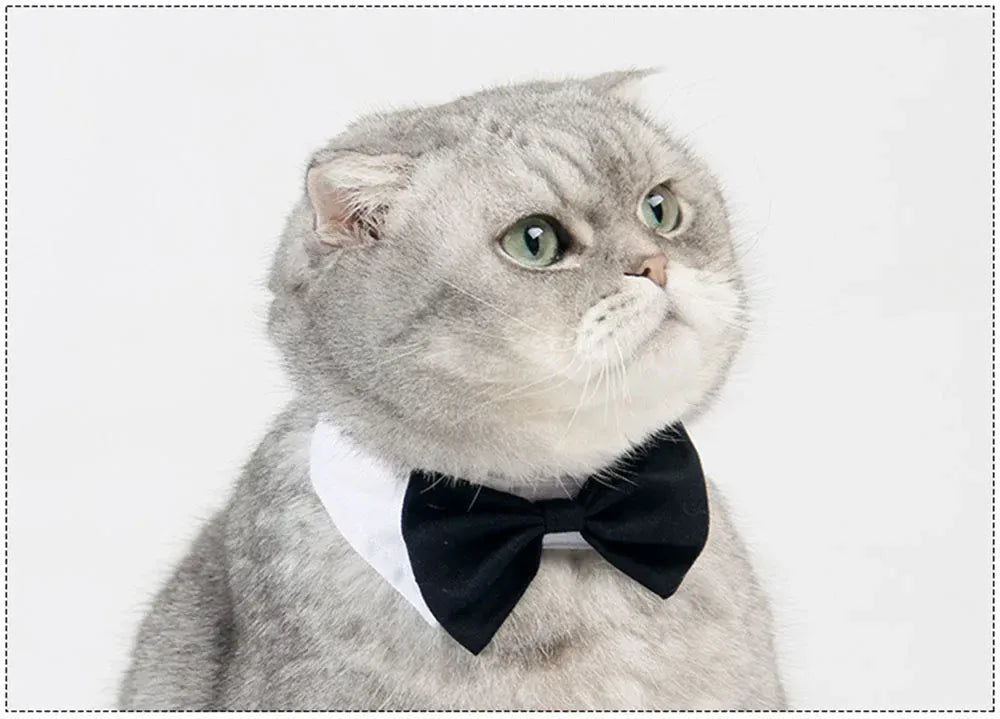 Dog Cat Tuxedo Collar - Wedding Bow Tie Pet Accessory for Special Occasions