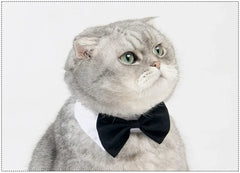 Dog Cat Tuxedo Collar - Wedding Bow Tie Pet Accessory for Special Occasions