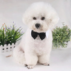 Dog Cat Tuxedo Collar - Wedding Bow Tie Pet Accessory for Special Occasions