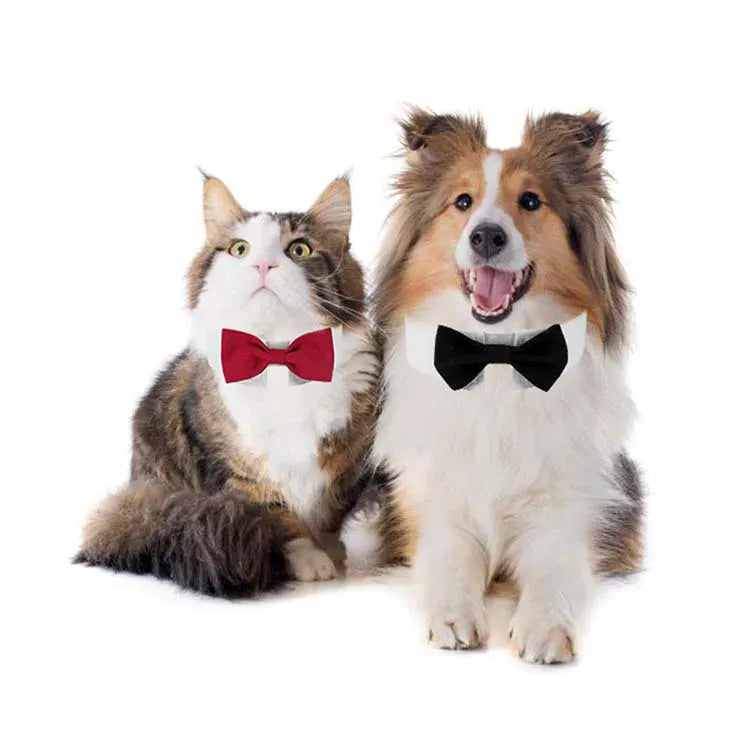 Dog Tuxedo Bow Tie - Adjustable Formal Collar for Weddings & Photos