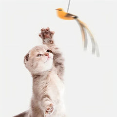 Feather Teaser Stick for Cats - Suction Cup Mount Interactive Bird Toy Safe