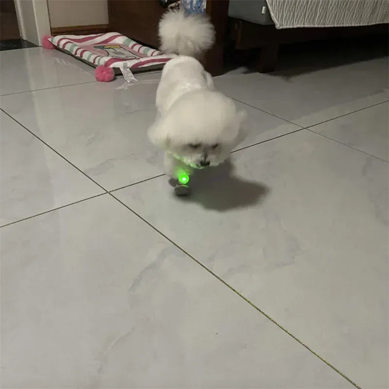 Glowing Dog Shoes & Collar - LED Night Safety Lights for Walking Pet