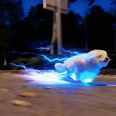 Glowing Dog Shoes & Collar - LED Night Safety Lights for Walking Pet