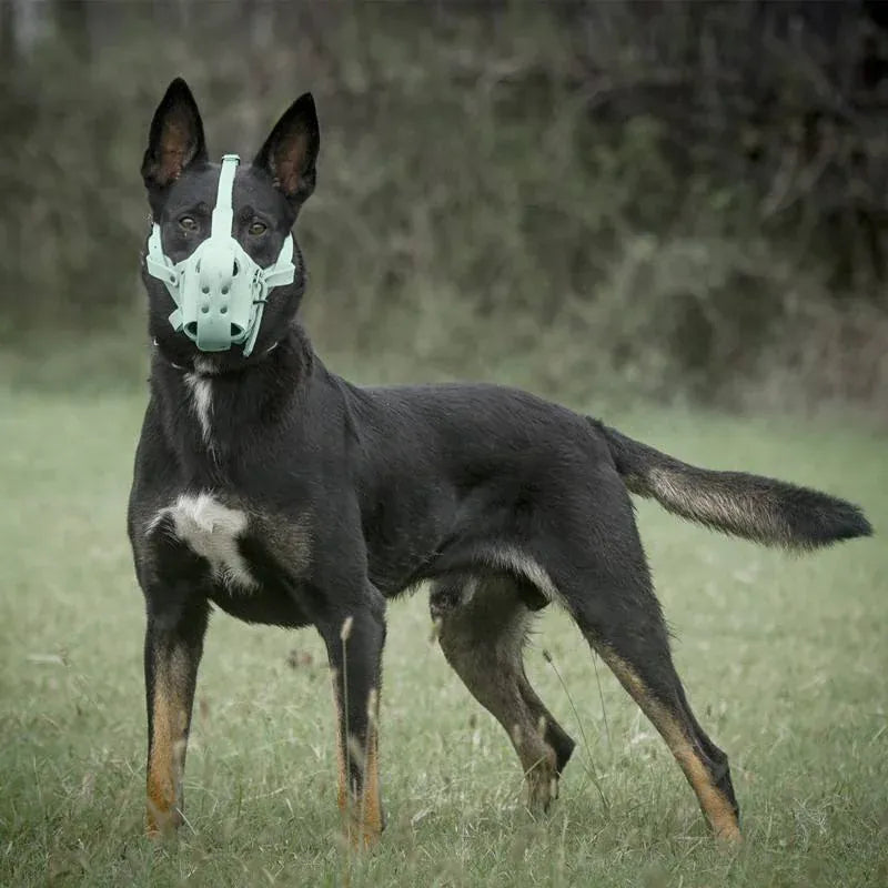 Kangdarpet Leather Dog Muzzle - Bite-Proof Training Cage for Large Breeds