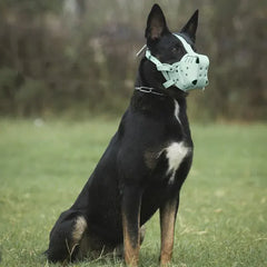 Kangdarpet Leather Dog Muzzle - Bite-Proof Training Cage for Large Breeds